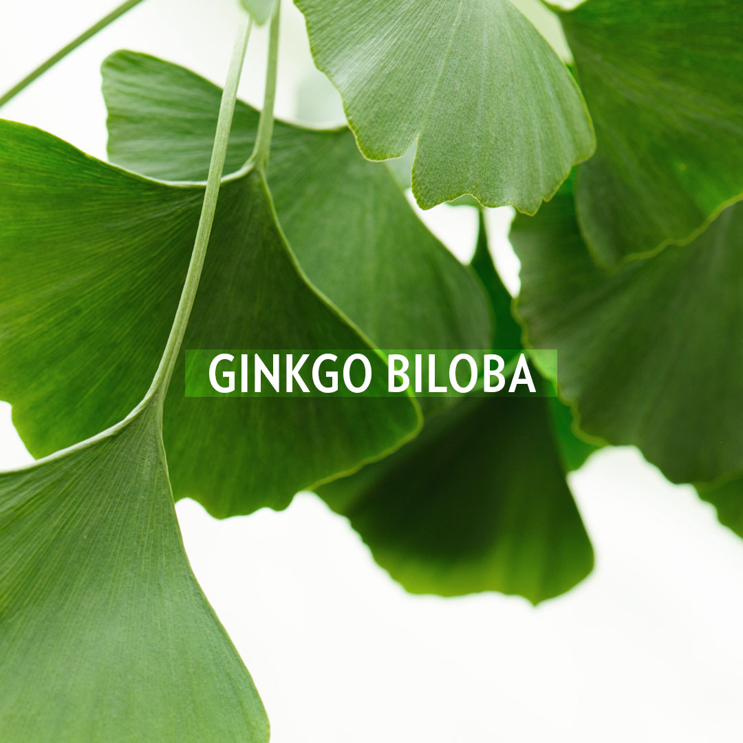 Glynt Dermy ginkgo Biloba